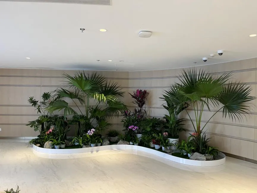 了解鄞州盆景出租方案，让空间瞬间焕新！